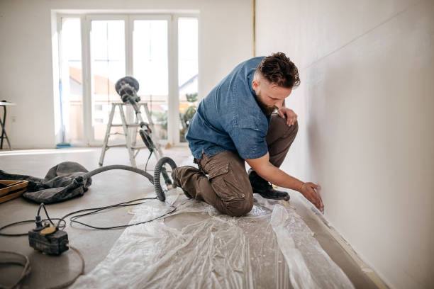 Best Drywall Removal and Disposal  in Staunton, IL